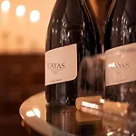 Wellnesshotel Schweizerhof 酒店 萨斯费