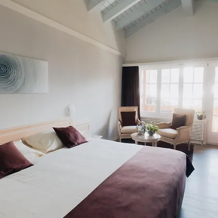 Wellnesshotel Schweizerhof 호텔
