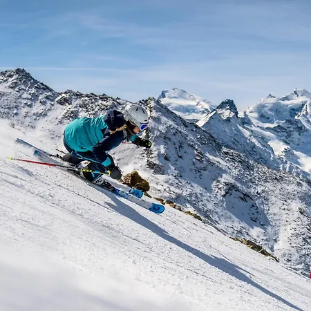 Wellnesshotel Schweizerhof Hotel