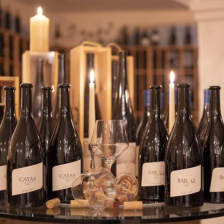 Hotel Wellnesshotel Schweizerhof