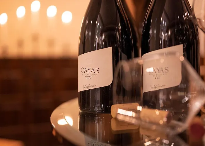 Wellnesshotel Schweizerhof 호텔 Saas Fee