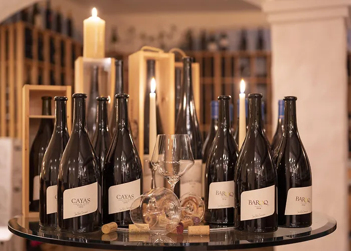 호텔 Wellnesshotel Schweizerhof