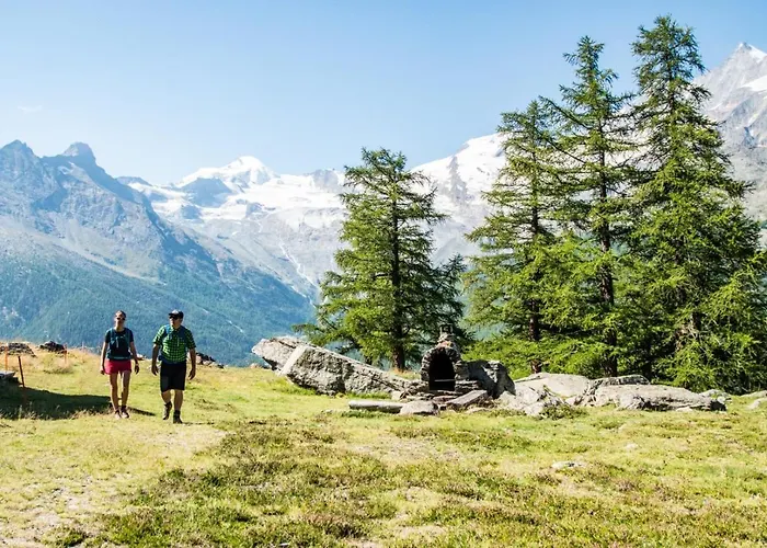 Wellnesshotel Schweizerhof Hotel 4*