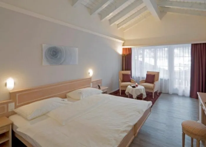 호텔 Wellnesshotel Schweizerhof